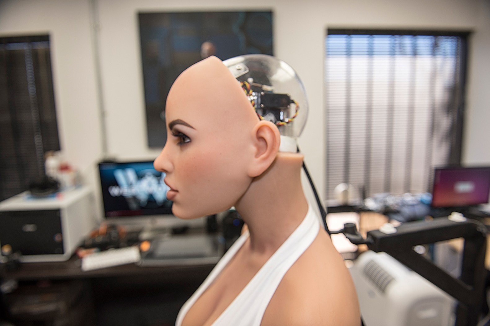 Future Sex Dolls with AI Changing How We Think About Love