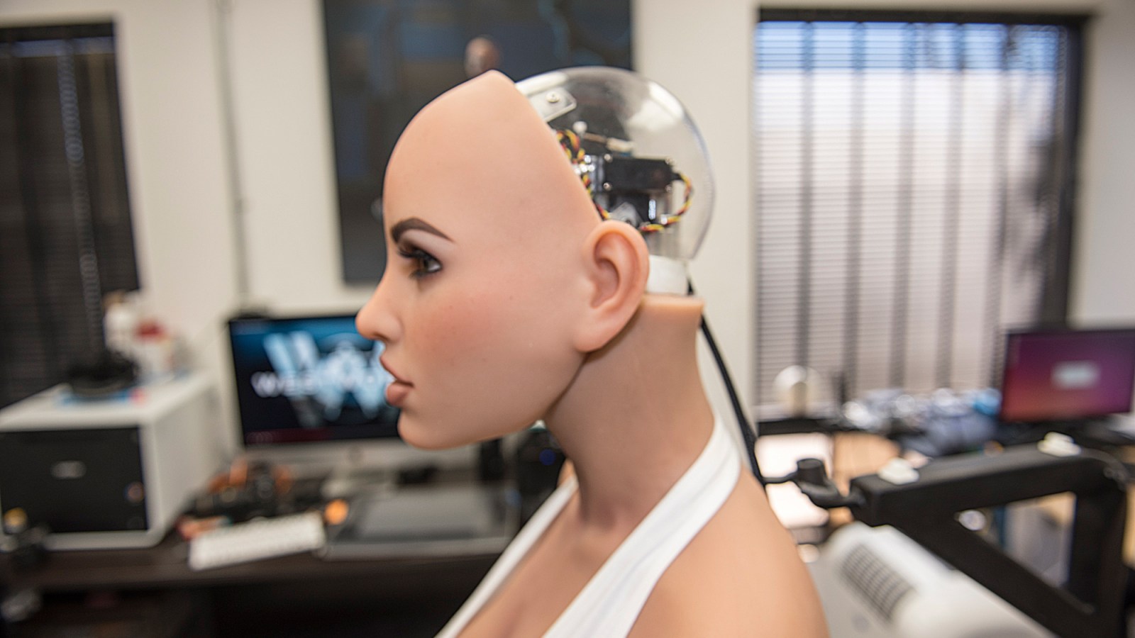 Future of Sex Dolls with AI | How Artificial Intelligence Changes Companionship